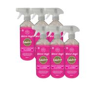 Fabulosa Antibacterial Disinfectant Spray, All Purpose Multi Surface Cleaner, 500ml, 6 Pack, Winter Angel (packaging may vary)
