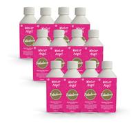 Fabulosa Limescale Remover and Washing Machine Freshener, Odour Removing, Deep Cleaning Washing Machine Cleaner, 250ml, 12 Pack, Winter Angel