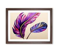 Fabulous Bird Feathers WHT Framed Print | A2 Walnut Framed Wall Art | Ready to Hang | Modern Nature Picture | Living Room Bedroom Lounge Office