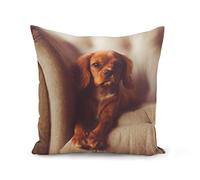 Fabulous Pillow Cushion Cover 40x40 cm Cavalier King Charles Relax Chill Dog Tenderness Cute