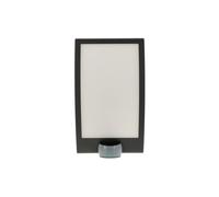 Facade light with motion and twilight sensor L 22 S 035709