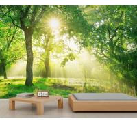 FACADUP Forest Murals, Sun Light Shining Through The Trees Wall Murals, Natural Jungle Wallpaper for Bedroom Living Room 150x105cm Artwork Background Wall Stickers (Not Self-Adhesive)