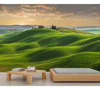 FACADUP Green Mountain Murals, Northern Ireland Morning Sunrise Scenery Wallpaper for Living Room Bedroom 300x240cm Home TV Sofa Background Wall Decor (Not Self-Adhesive)
