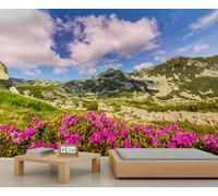 FACADUP Mountains Murals, Blue Sky Mountains Wildflower Dawn Landscape Wallpaper for Living Room Office 150x105cm Home TV Sofa Background Wall Decor (Not Self-Adhesive)