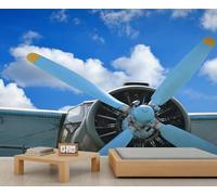 FACADUP Vintage Against Murals Old Biplane Against Blue Sky Wallpaper for Kids Room Bedroom 300x240cm Home TV Sofa Background Wall Decor (Not Self-Adhesive)