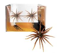 FACAIIO For Sea Urchin Style Soft Lure For Bass Fishing With Slow Sinking Capability And Natural Swirling Motion During Pause And Retrieve(Brown)