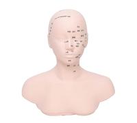 Face Anatomy Practice Mannequin with Not Deformable for Repeated Massage Skill Development Face Sculpting Massage Model Head