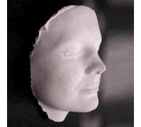 Face Casting Cast Mask Making Kit - a Moulding Alginate & Plaster Lifecasting Kit including Gold & Silver paint