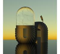 Face Ice Roller (Black)