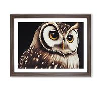 Face Of An Owl Vol.4 Framed Print | A3 Walnut Framed Wall Art | Ready to Hang | Modern Animal Picture | Living Room Bedroom Lounge Office