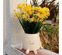 Face Plant Pot, 12cm/4.7inch Resin Small Face Flower Pot, Desktop Decorative Succulent Planter, Face Planter Pot for Outdoor Indoor Home Office Decor (Planter -1)