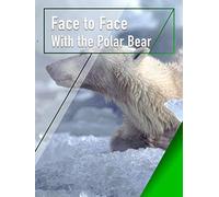 Face to Face With the Polar Bear