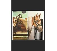 Faces Of Rescue: True stories of horse rescue