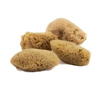FacialCare Exfoliating Sponge, for a Deep Down Facial Scrub. Natural, Hypoallergenic, No Waste. Premium Mediterranean Sea Sponges.