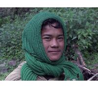 Facing the Giant Bees