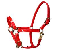 FackLOxc Luxurious Leather Horse Headstall Headgear with Golden Metal Hardware Sweat Resistant and Easy Maintenances Leather Collar Harness