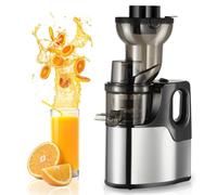 FAcoLL 150W Professional Slow Juicer, Portable Pomace Separation Juicer with 75mm Feed Chute, Cold Press Juicer Machine, Slow Masticating Juicer for Whole Fruit and Vegetable