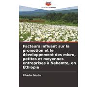 Facteurs influant sur la promotion et le développement des micro, petites et moyennes entreprises à Nekemte, en Éthiopie