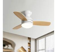 Factory 48 Inches Led Carbon Steel Lamp Shell Ceiling Fan Lamp Nordic Plywood Fan Blade Ceiling Fan Light Acrylic Fan Chandelier for Bedroom Living Room Dining Room Office Perf, ZIU