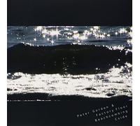 Factory Floor and Peter Gordon - Beachcombing / C Side [VINYL]