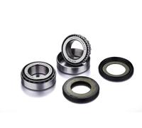 Factory Links Bearing Pack - 63005 2RS 10x