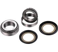 Factory Links Honda Cr 125 R 95-97/cr 250 R 95-96 Ssk-h-398 Steering Bearing Kit Silver