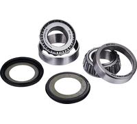Factory Links Aprilia/bmw/gas Gas Ssk-g-015 Steering Bearing Kit Silver