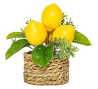 FACULX Artificial Lemon Tree, Lifelike Plastic Faux Plant, Compact 15cm Potted Decor for Home Office Desk Shelf Wedding Party Table Centerpiece(262990)