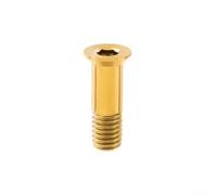 FACULX Ti Rear Derailleur Wheel Screws for Sram Compatible FACULX | Alloy, Titanium, Silver, Cycle Repair Part
