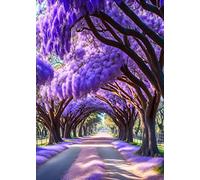 FADISA Wall Art Picture photo on canvas Jacaranda Tree Tunnel Over Dirt Path Strewn for Home Decor 60x90cm