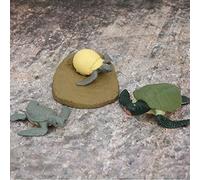 Fafeicy Animal Life Cycle Model Toy Highly Simulation Children Learning Model Toy 2 Types Chick Tortoise Life Cycle Kids (growth cycle)