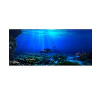 Fafeicy Fish Tank Poster, Seaworld Poster, Robust Permanent Realistic Realistic for Aquarium Decoration Fish Tank Decoration (122 * 61cm)