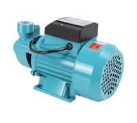 Fafeicy Water Transfer Pump 50m Head 50L/min Centrifugal for Well Lawn