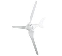 Fafeicy Wind Generator Kit, 100W Wind with Permanent Magnet Rotor Alternator, for Home Street Lights Off-Grid Power Supply (DC12V)