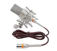 Fafeims Studio XLR Microphone High Sensitivity 26mm Diaphragm for Singing Podcasting and Online Chatting (Gold)