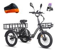 Fafrees 3-Wheel Electric Trike for Adults UK 2025 F20 MATE, 1008Wh/48V 21Ah Battery for 65-115KM | 20x3.0 Fat Tyres Cargo Ebike, Foldable Electric Tricycle Hydraulic Brakes (BLACK-LG+STD REAR+FRONT)