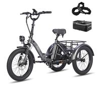 Fafrees F20 Mate Electric Tricycle for Adults, Electric Bike 48V 18.2Ah Removable Battery, 70km Range,20 x 3.0 Fat Tyres, Folding Electric Trike Cargo Ebike, Dual Suspension (Black)