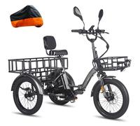 Fafrees F20 MATE Electric Trike for Adults UK, Removable Battery 65-115KM Range, 20x3.0 Fat Tyres Electric Tricycle, Foldable Cargo Ebike Dual Suspension