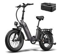 Fafrees FF20 Polar 20" Folding Electric Bike, 48V 10.4Ah Dual Battery,140-160KM Range, 7-Speed, Official E-bike Adults, 25KM/H, 20 x 4.0 inch Fat Tyres, 25KM/H,High-Torque Motor,150KG Load,160-200cm