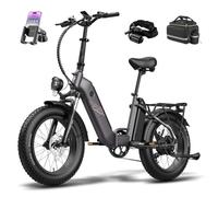 Fafrees FF20 Polar Folding Electric Bike - 48V Dual Removable Batteries, Up to 140 km Range, 20″ x 4.0″ Fat Tires, Pedal-Assist E-Bike for Adults (3-Piece Accessory Kit, BLACK)