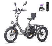 Fafrees [L2e-P Certified] F20 Mate Electric Bike Tricycle, 48V/23.45AH Battery, Folding Electric Cargo Trike for Adult Senior, Power Assist 120KM (Standard Rack, Grey)