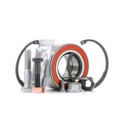 FAG 713 6101 40 Wheel bearing kit