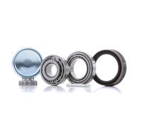 FAG 713 6103 70 Wheel bearing kit