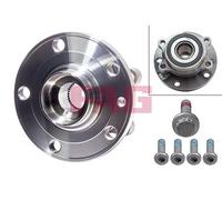 FAG 713610610 Wheel Bearing Kit