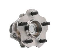 FAG 713 6139 20 Wheel bearing kit