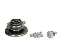 FAG 713 6497 20 Wheel bearing kit