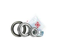 FAG Wheel Bearing Kit - 713667800