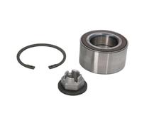 FAG 713 6789 70 Wheel Bearing Kit