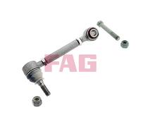 FAG 821 0344 10 Suspension arm
