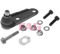 FAG 825 0163 10 Ball Joint